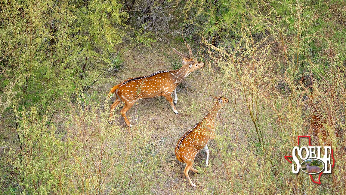 6600-Devils-River-250209-12