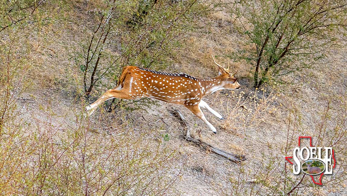 6600-Devils-River-250209-15