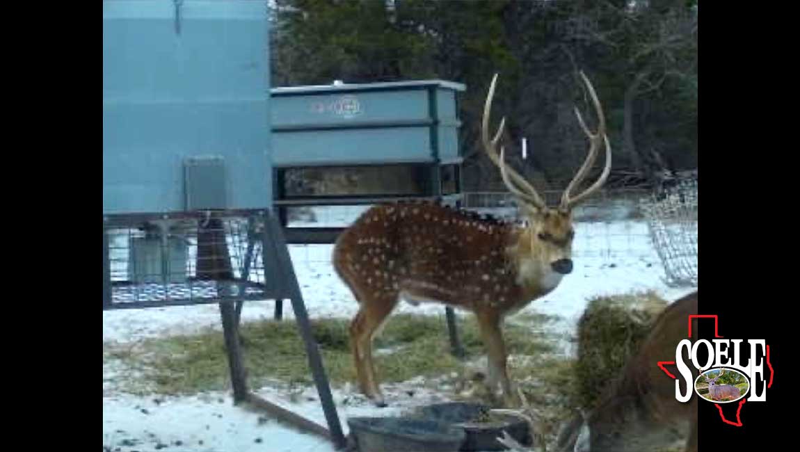 104-Kimble-Junction-05