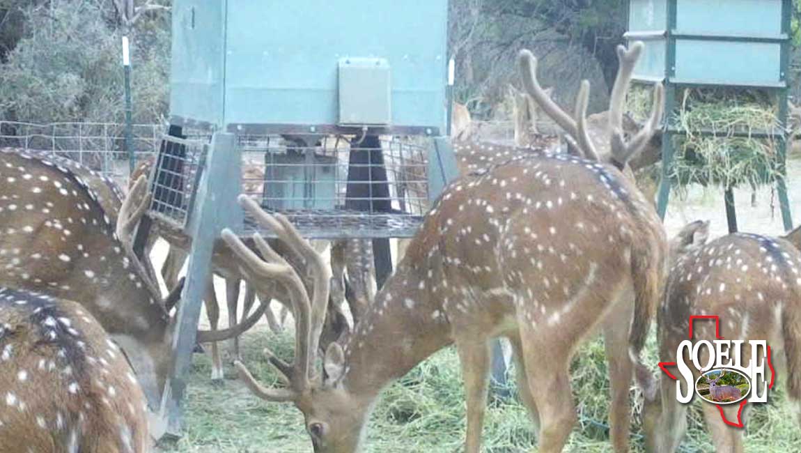 104-Kimble-Junction-10