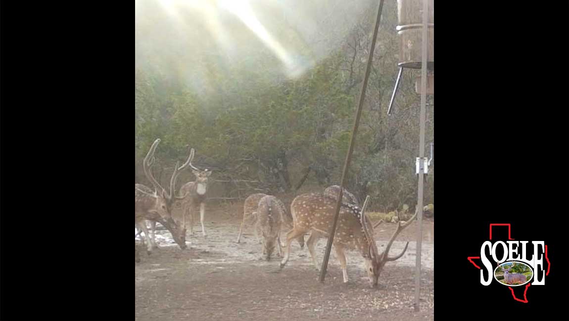 104-Kimble-Junction-21