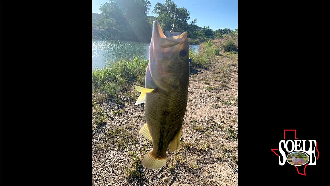 104-Kimble-Junction-22