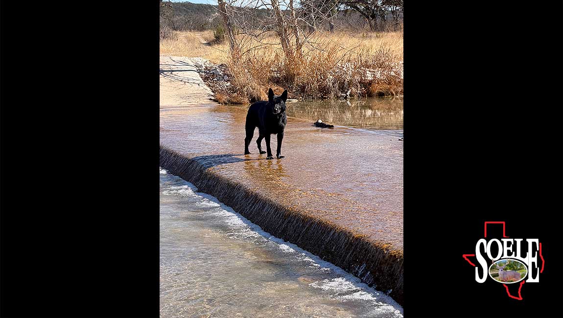 104-Kimble-Junction-24