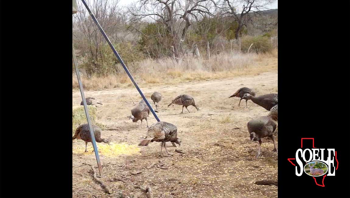 104-Kimble-Junction-25