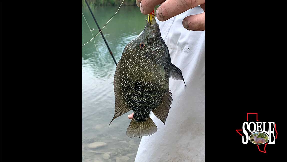 104-Kimble-Junction-35