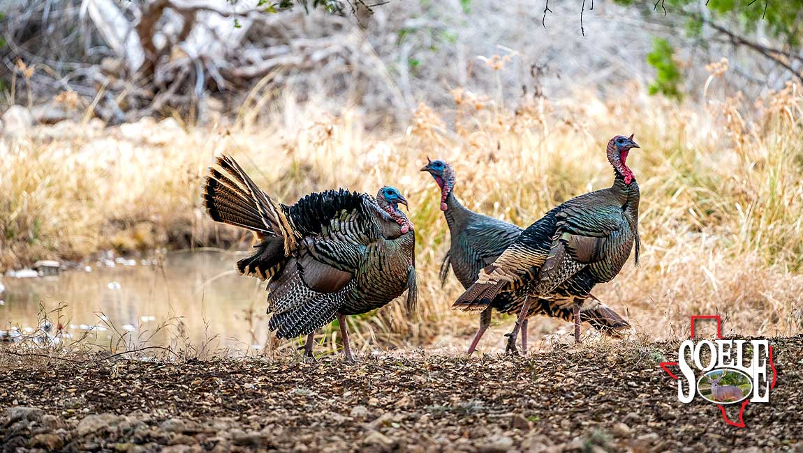 5597-Kinney-Bracketville-103