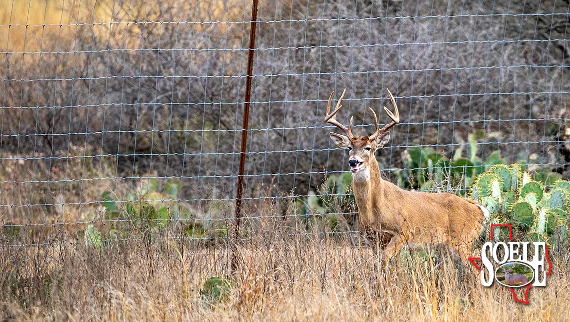 5597-Kinney-Bracketville-105