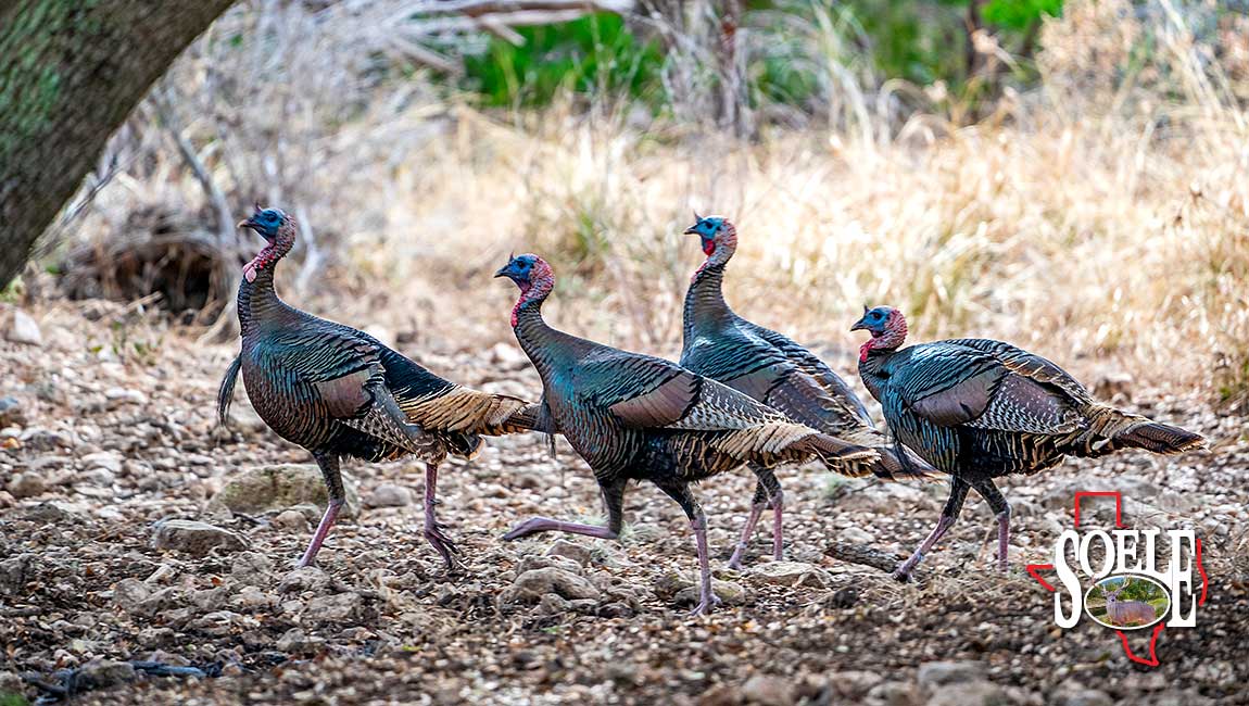 5597-Kinney-Bracketville-107