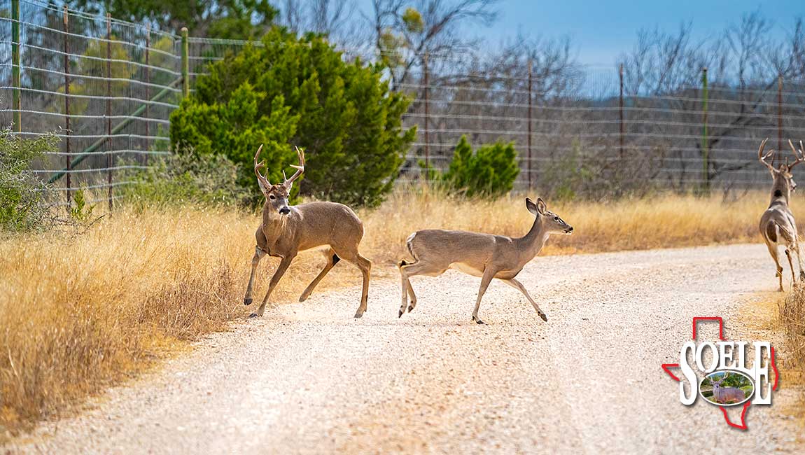 5597-Kinney-Bracketville-113