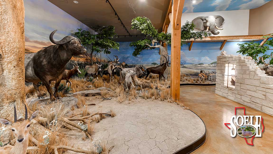 5597-Kinney-Bracketville-27