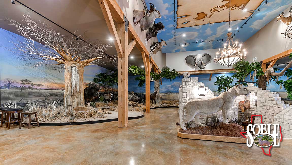 5597-Kinney-Bracketville-30