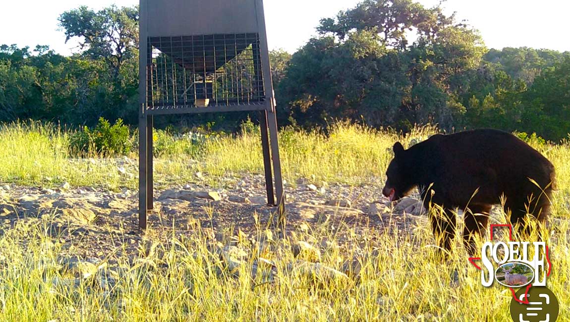 5597-Kinney-Bracketville-40