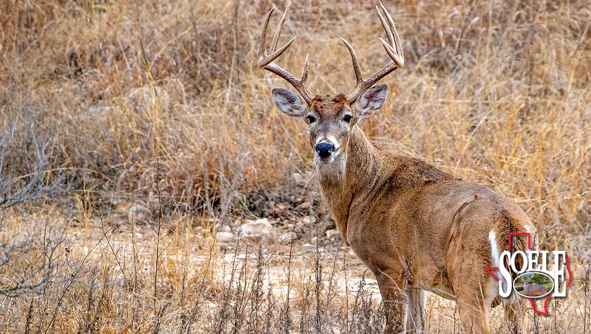 5597-Kinney-Bracketville-42