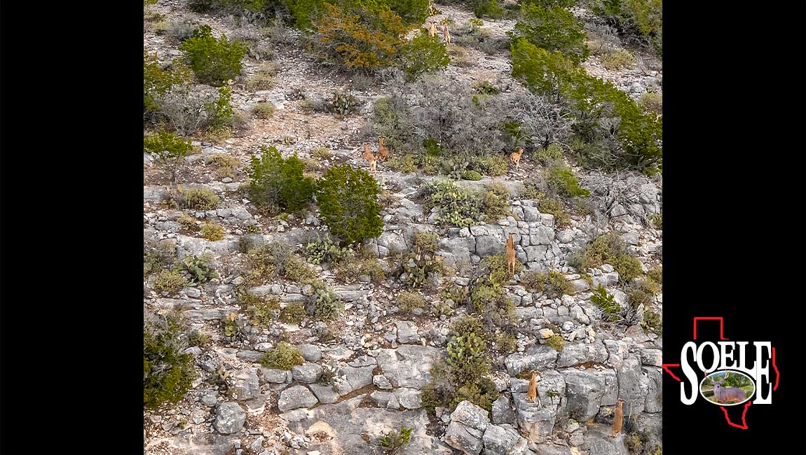 5597-Kinney-Bracketville-63