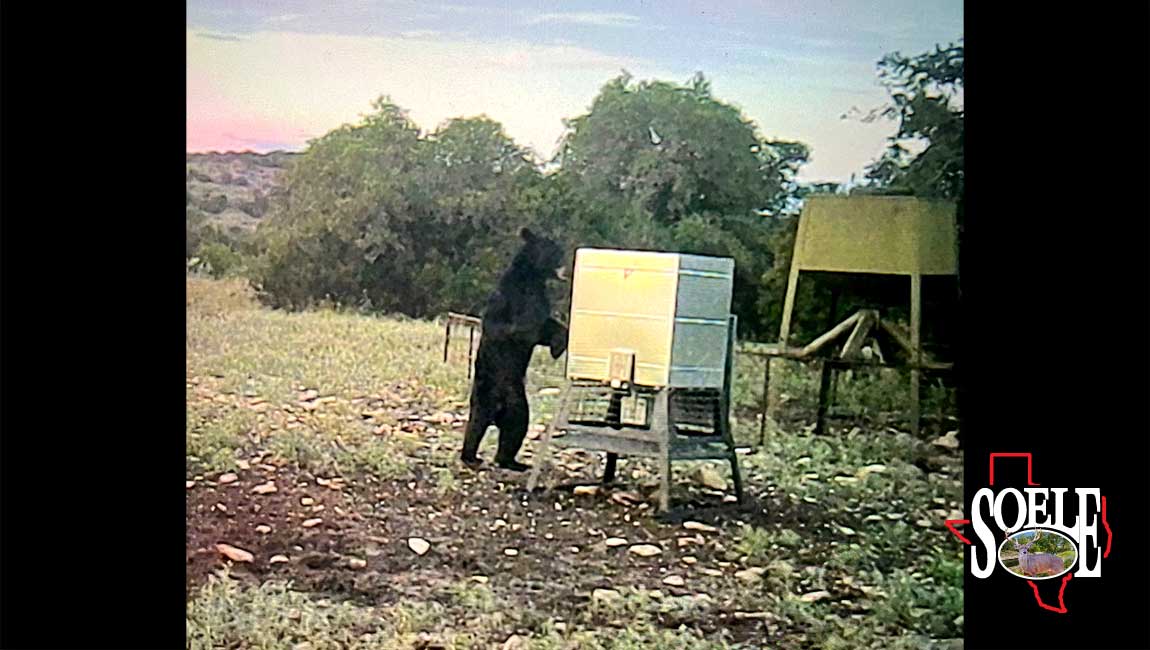 5597-Kinney-Bracketville-86