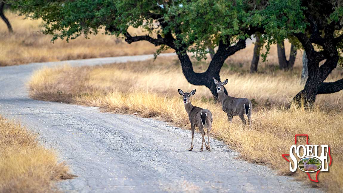 5597-Kinney-Bracketville-99