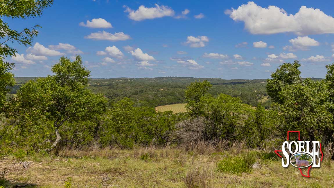 246-Hays-Lago-Vista-04