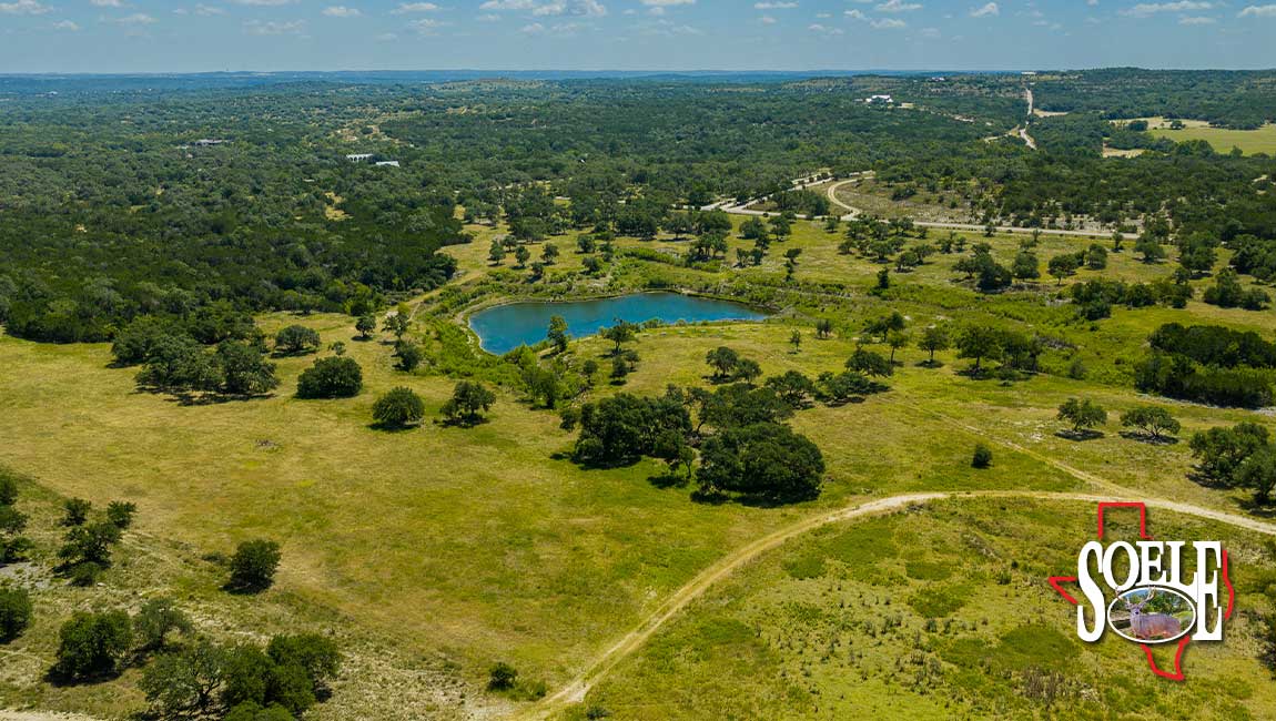 246-Hays-Lago-Vista-11