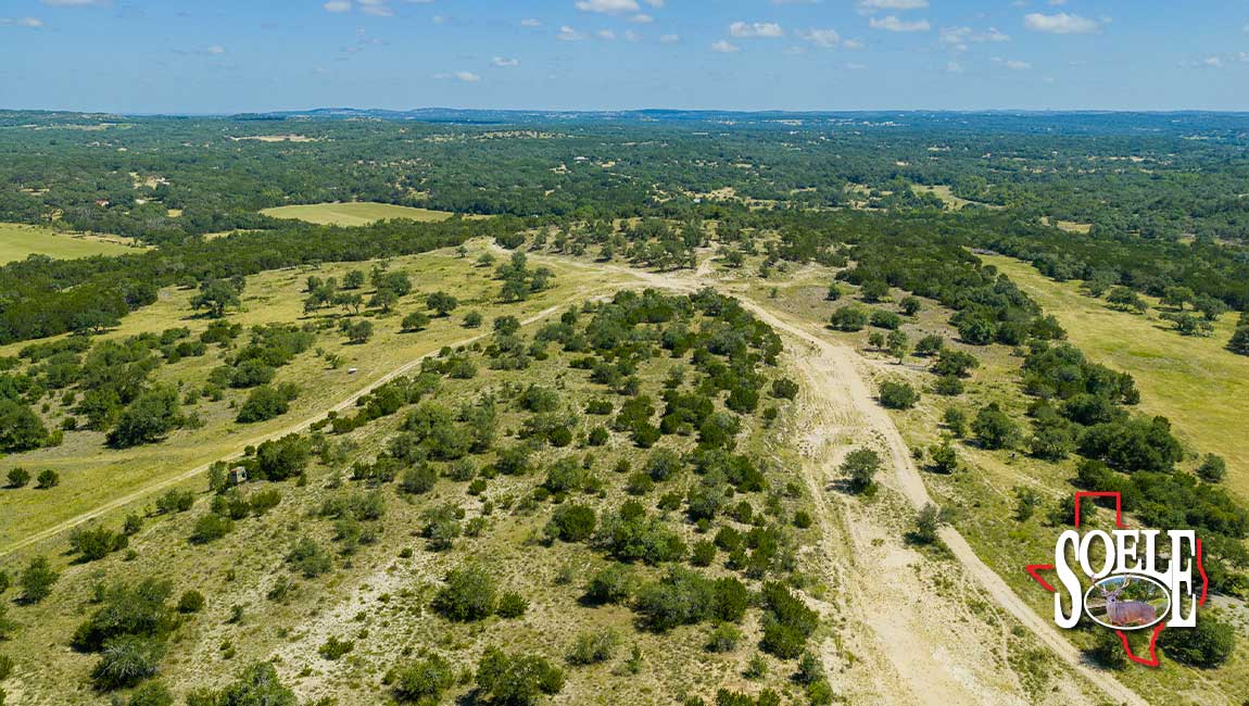 246-Hays-Lago-Vista-12