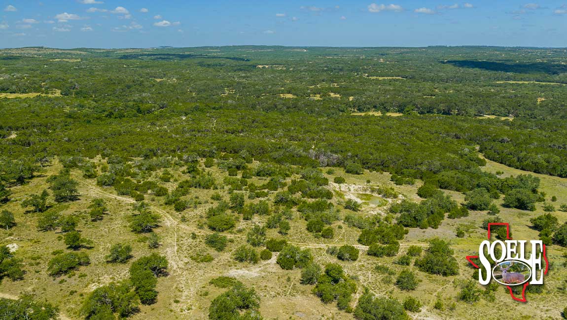 246-Hays-Lago-Vista-15