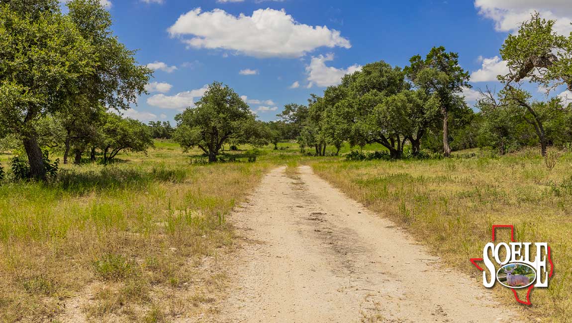 246-Hays-Lago-Vista-16