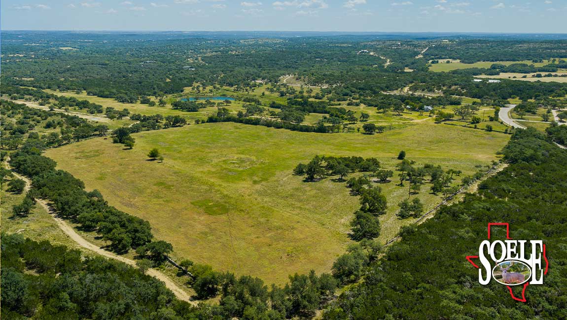 246-Hays-Lago-Vista-18