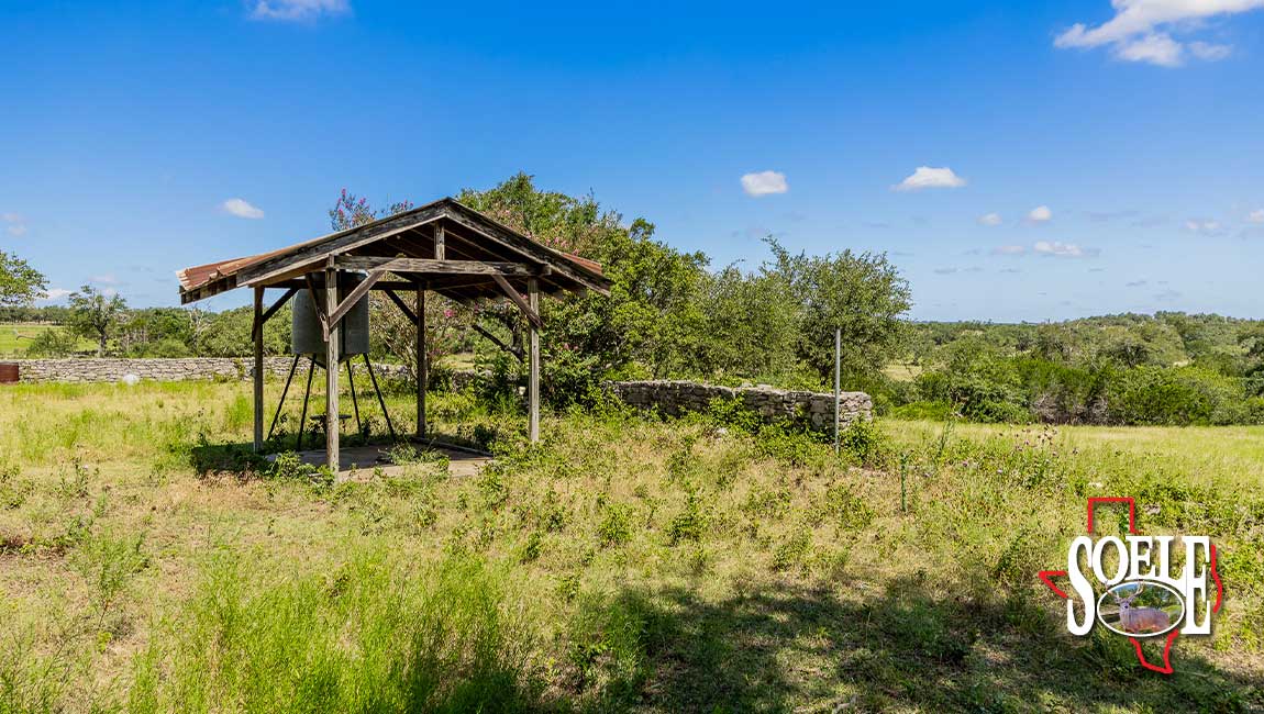 246-Hays-Lago-Vista-21