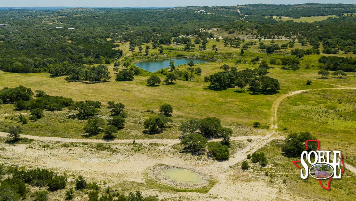 246-Hays-Lago-Vista-22