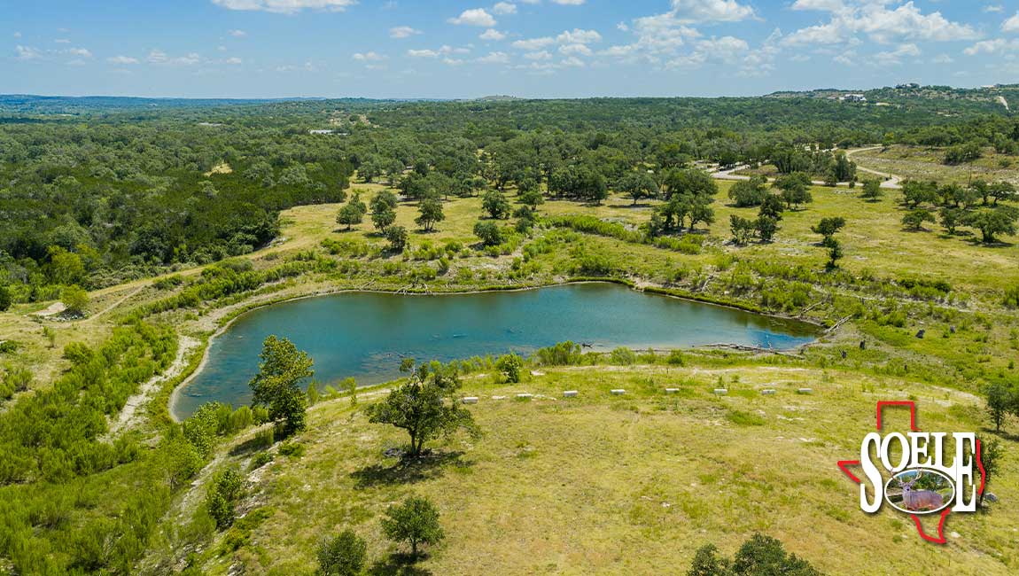 246-Hays-Lago-Vista-24