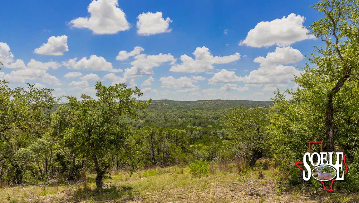 246-Hays-Lago-Vista-31