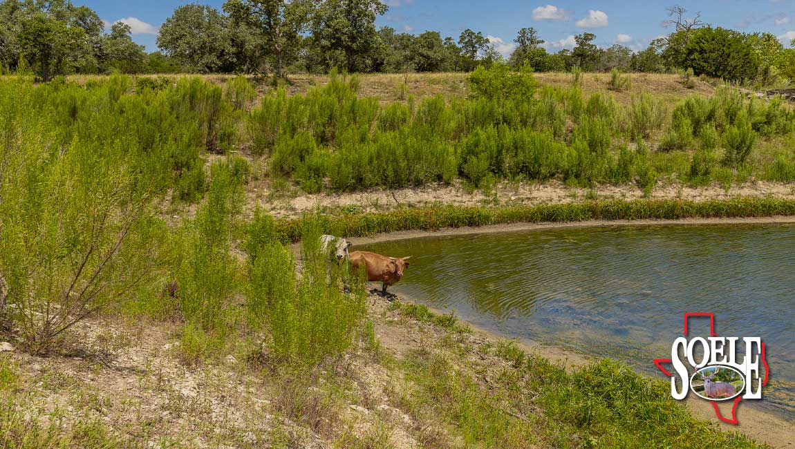246-Hays-Lago-Vista-33