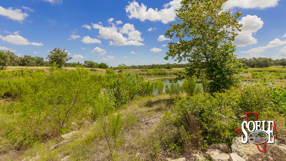 246-Hays-Lago-Vista-35