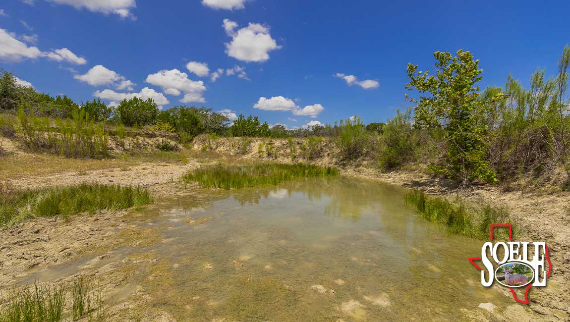 246-Hays-Lago-Vista-38